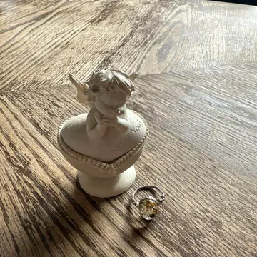 정원 수정과 천사의 용기