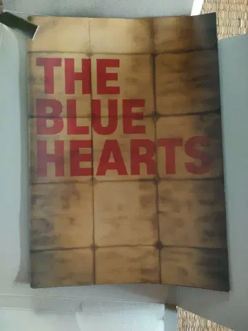 블루하츠 THE BLUE HEARTS 볼록 투어 93-94 팜플렛