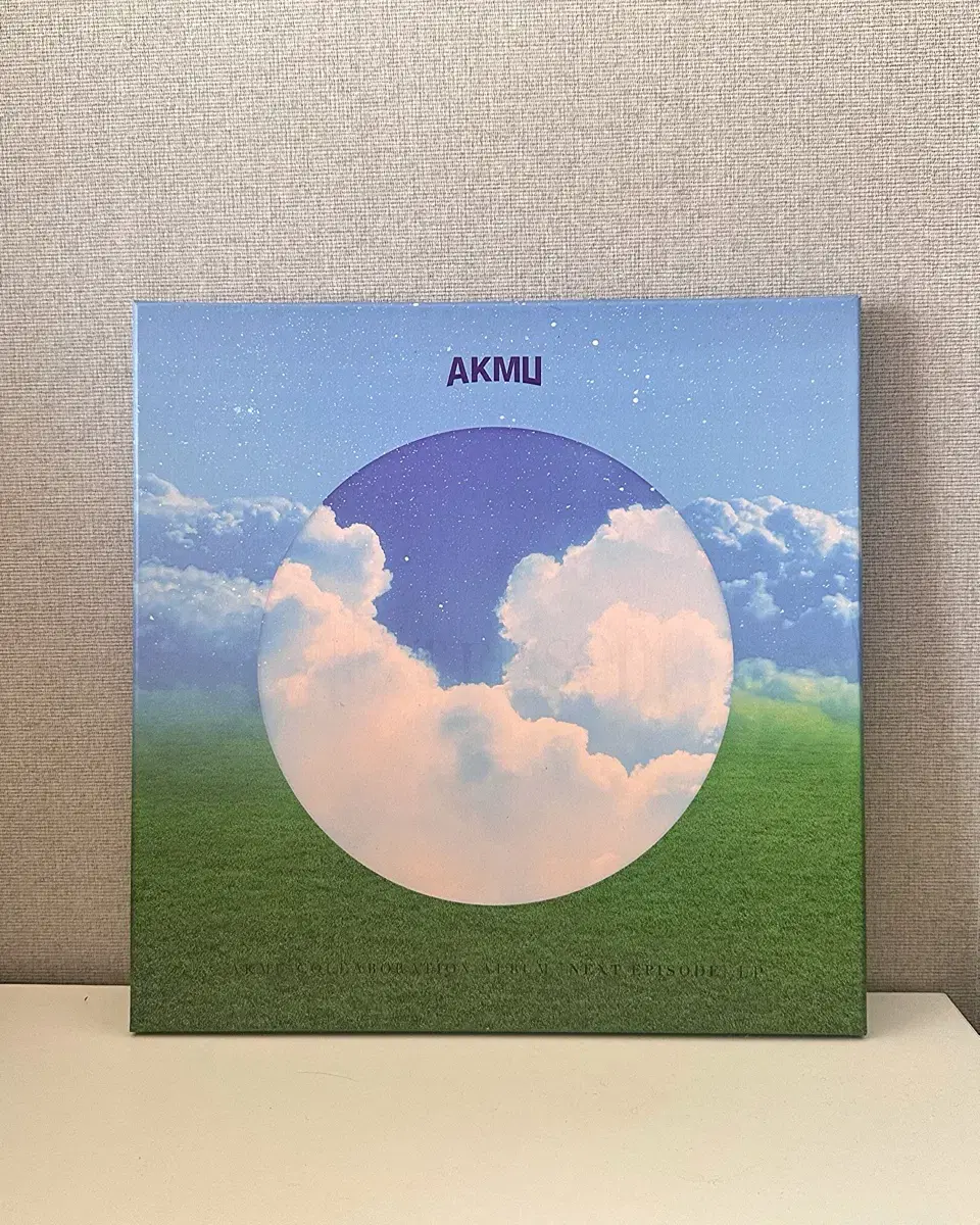 악뮤 AKMU 낙화 한정 LP (개봉)