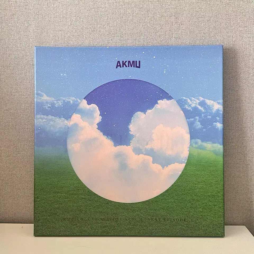 악뮤 AKMU 낙화 한정 LP (개봉)