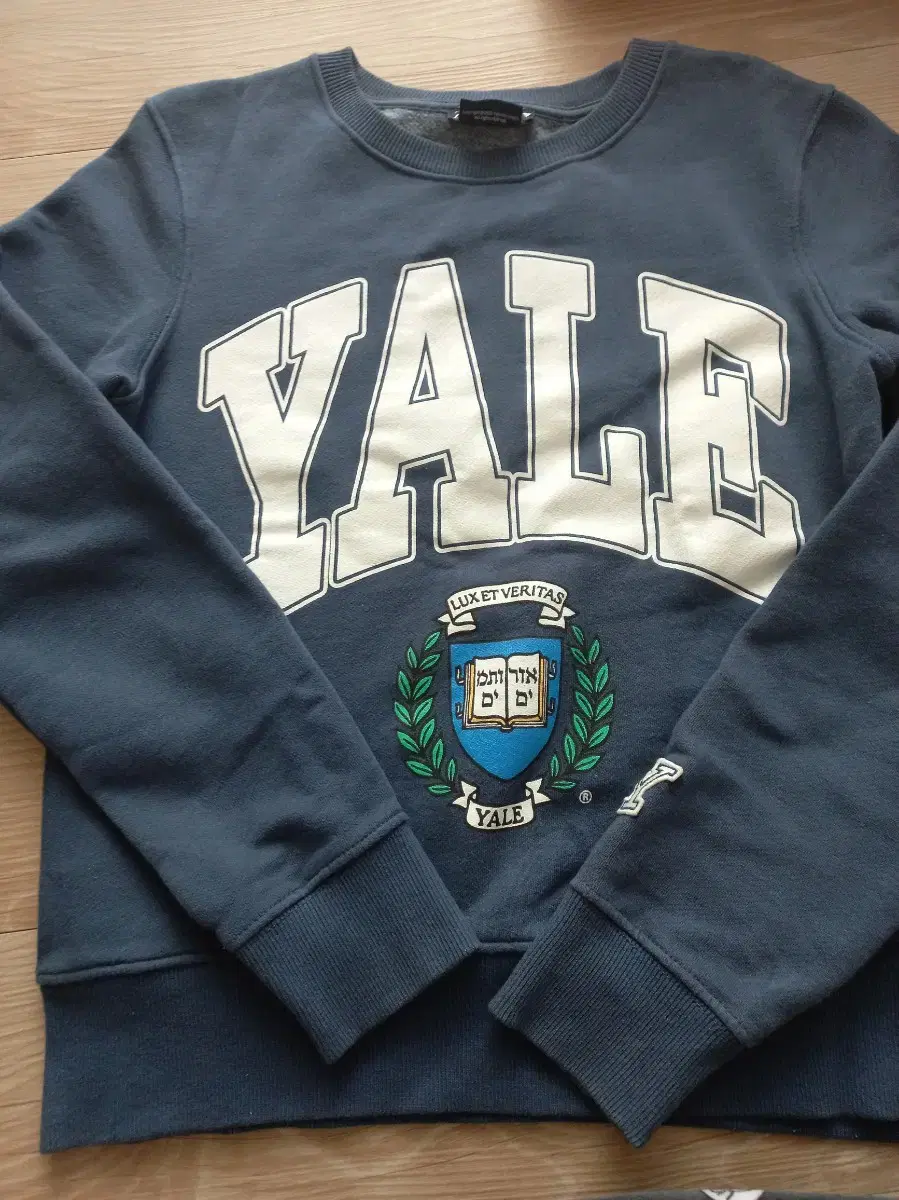 자라 YALE 티셔츠