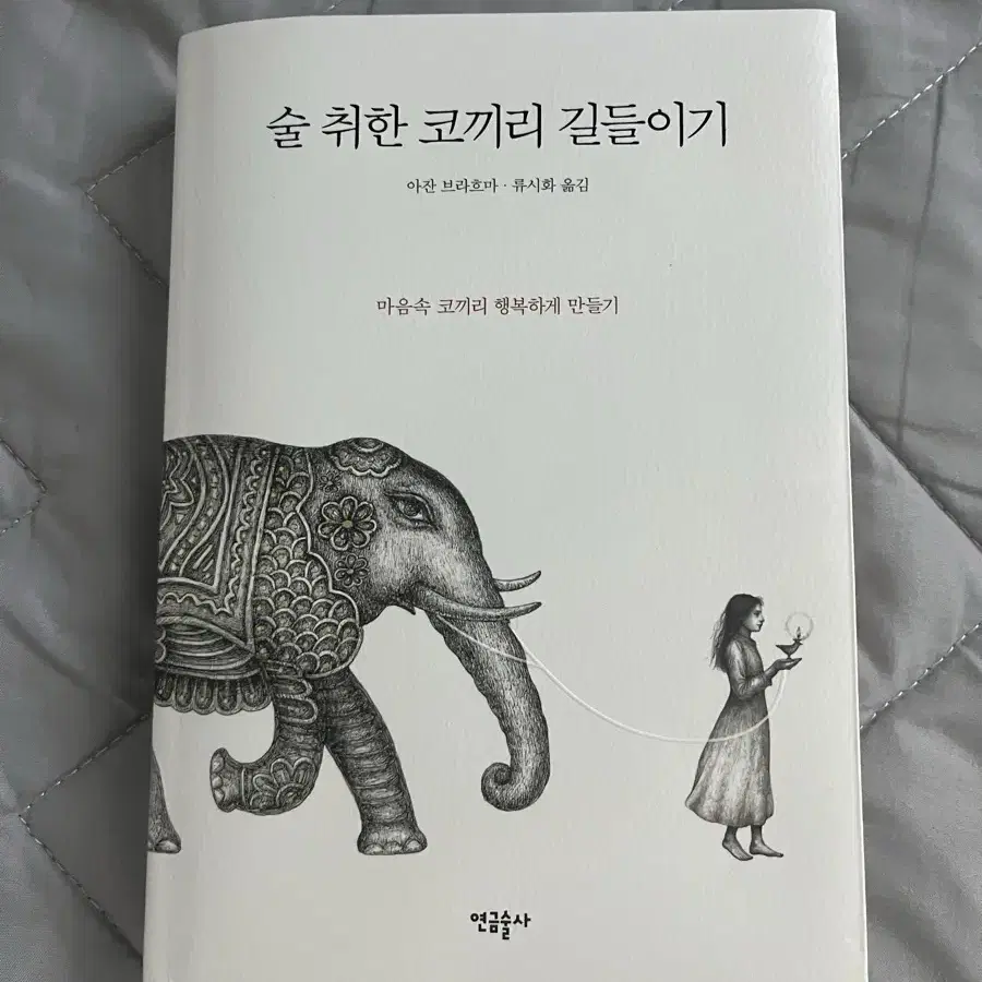 술취한코끼리길들이기