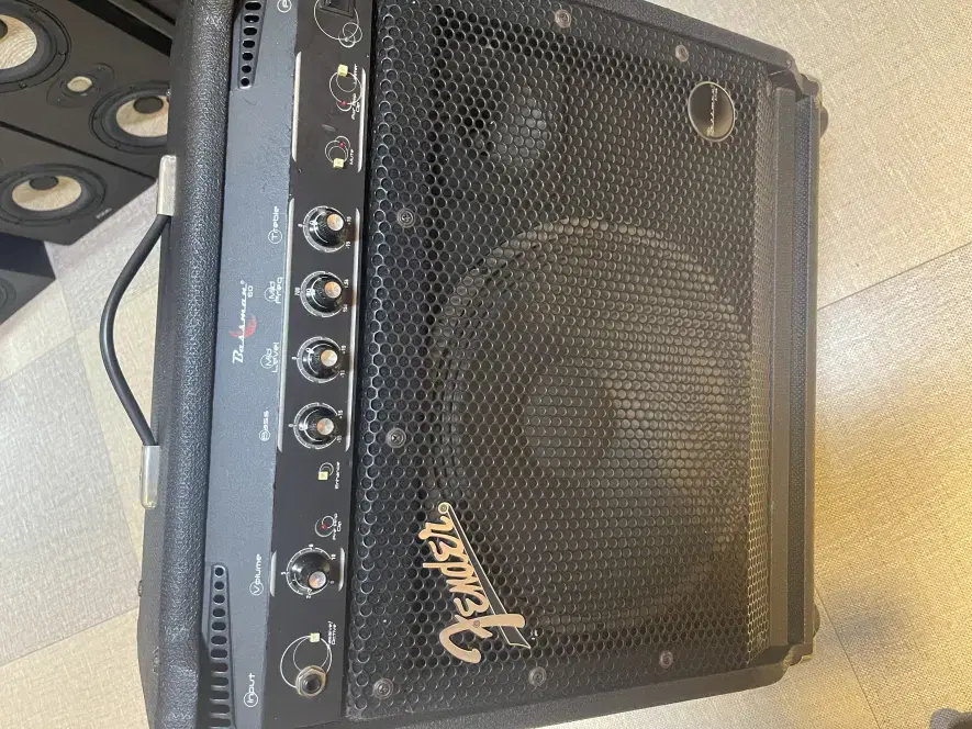 펜더 fender bassman60   베이스 엠프