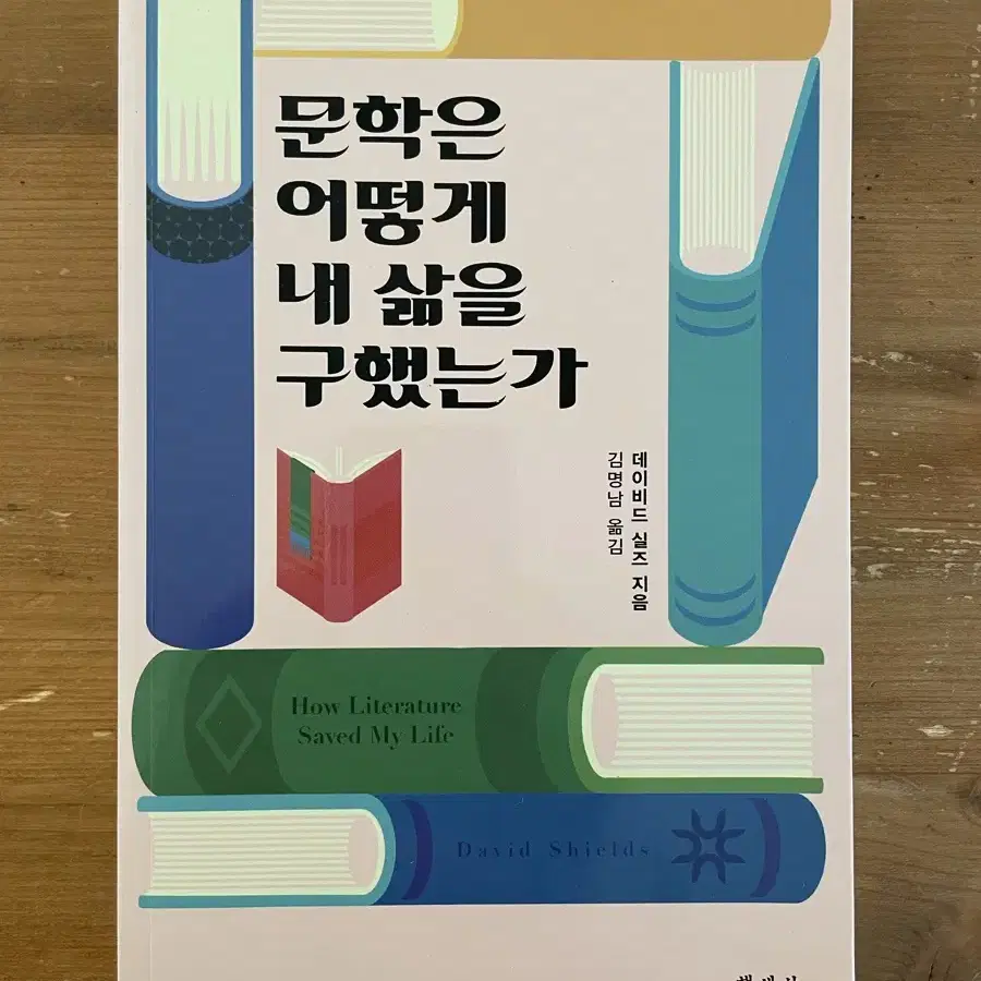 문학은 어떻게 내 삶을 구했는가 - 데이비드 실즈