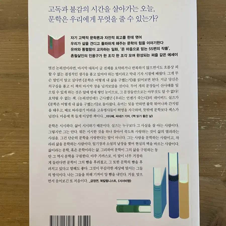 문학은 어떻게 내 삶을 구했는가 - 데이비드 실즈