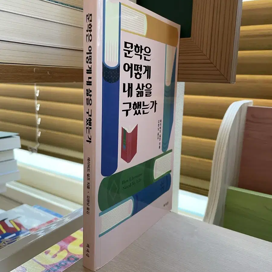 문학은 어떻게 내 삶을 구했는가 - 데이비드 실즈