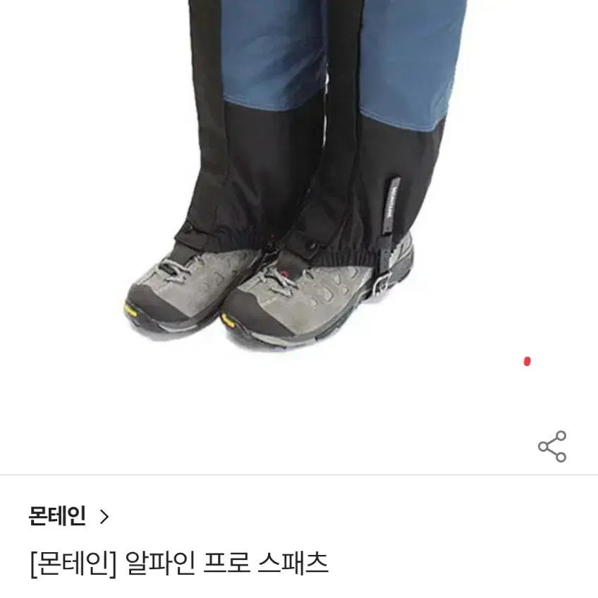 몬테인 스패치