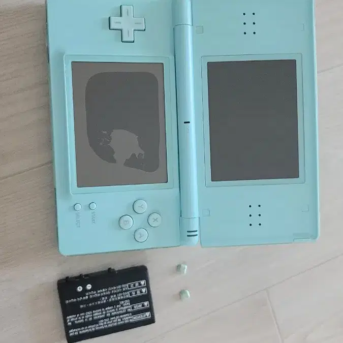 침수 닌텐도 ds lite