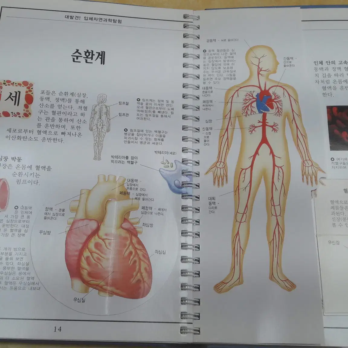 KIZDOM 대발견! 입체 자연과학탐험 PLUS