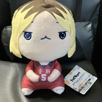 [하이큐 !!모치피코 BIG 봉제 인형 '코즈메 켄마 연마' "]