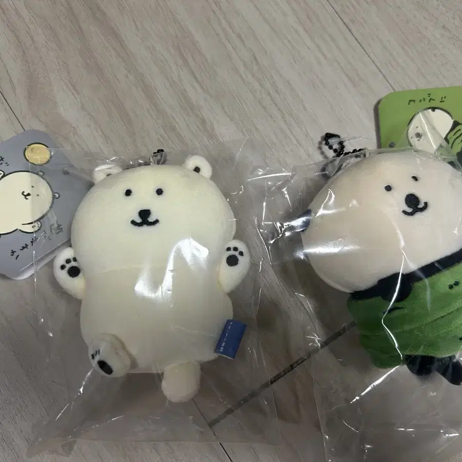 농담곰 수족관 북극곰 랏코