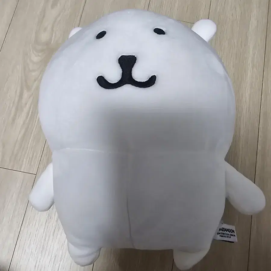 비플랏 농담곰 기본