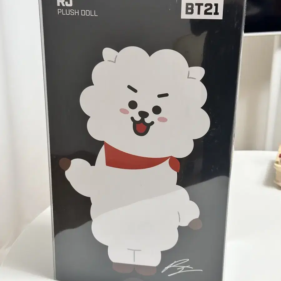 BT21 RJ doll 미디움 스탠딩 돌 알제이