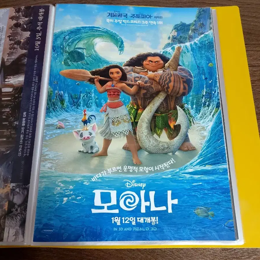 모아나(2017)영화전단지