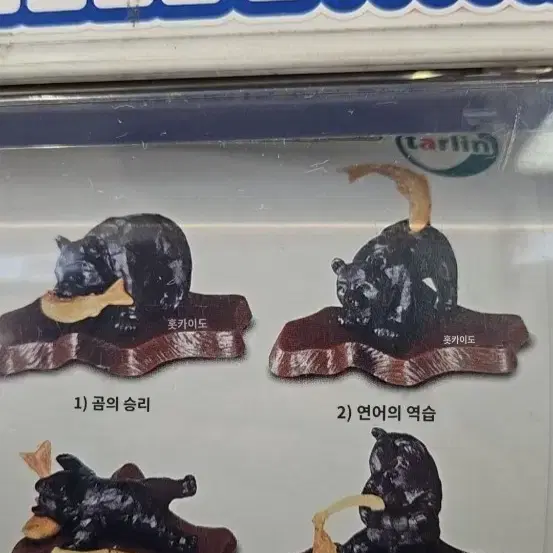 홋카이도 북해도 가챠 곰 삿포로 오타루 하코다테 오비히로