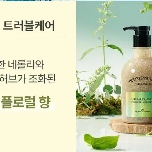 [여드름,지성강추]벨먼 인텐시브 스파 스크럽 바디워시 (어성초)400ml