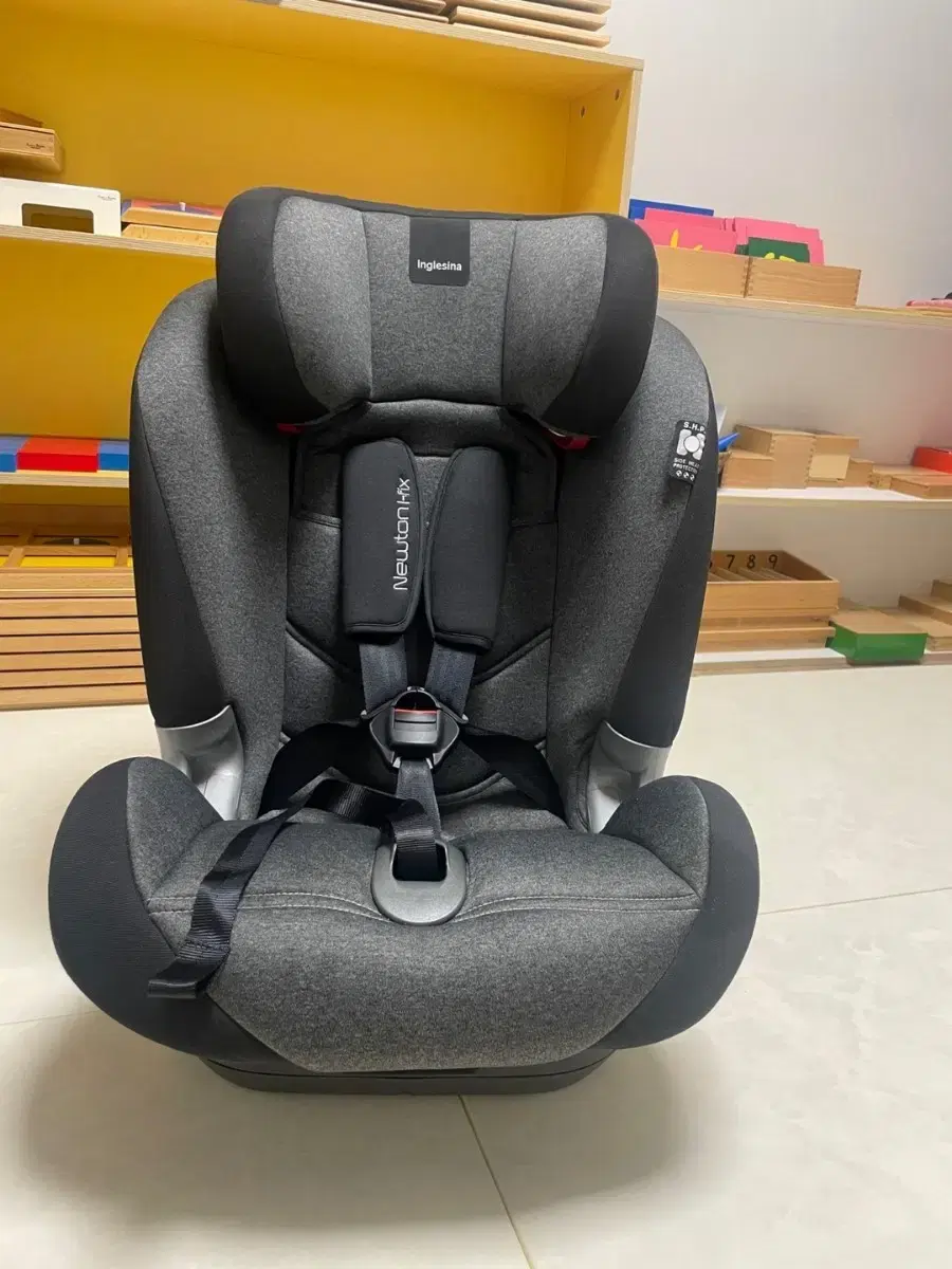 잉글레시나 뉴튼 토들러 카시트 ISOFIX