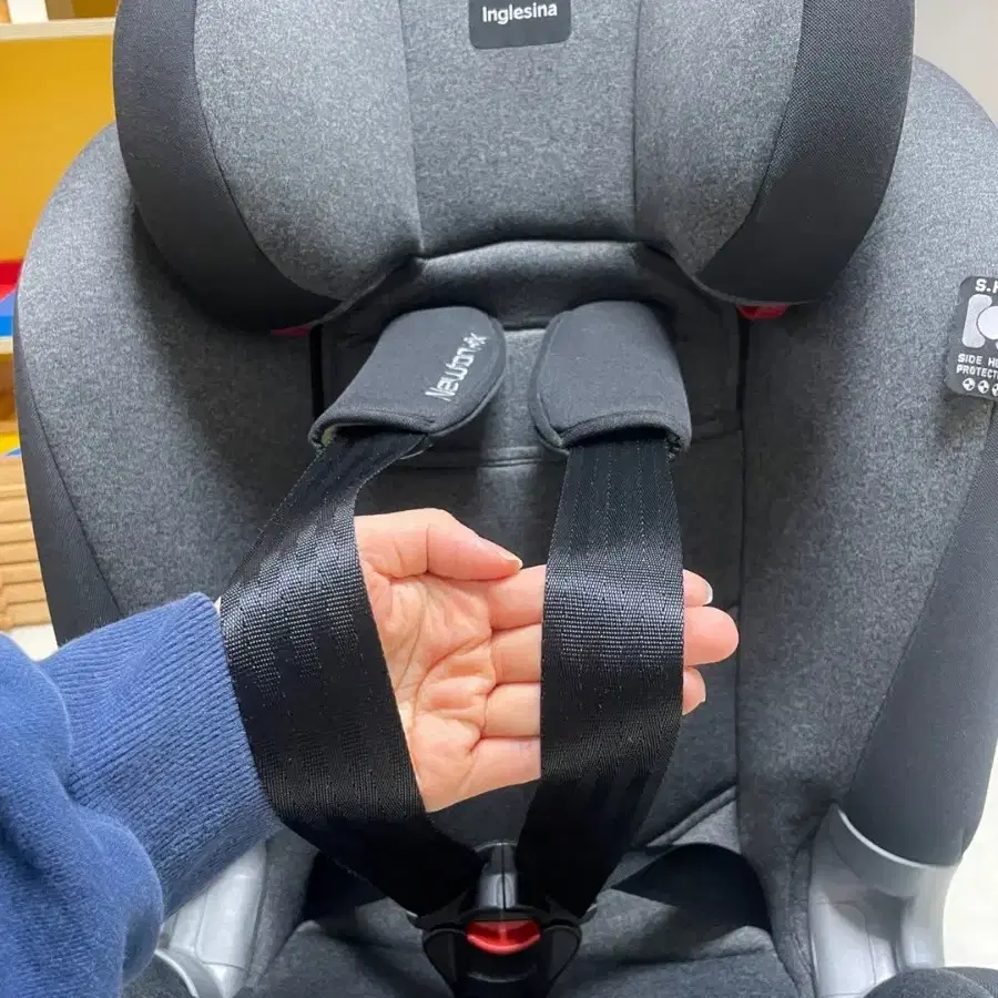 잉글레시나 뉴튼 토들러 카시트 ISOFIX