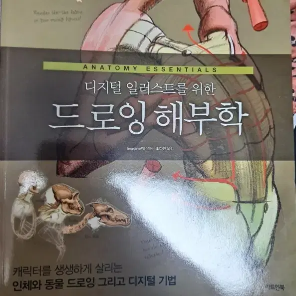 드로잉 해부학