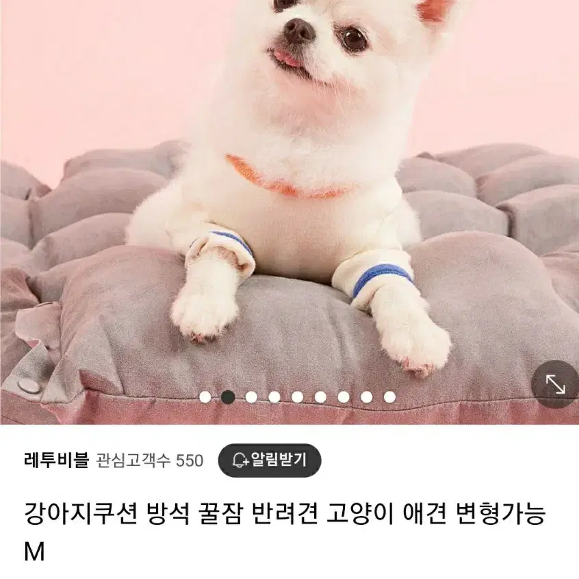 애견방석