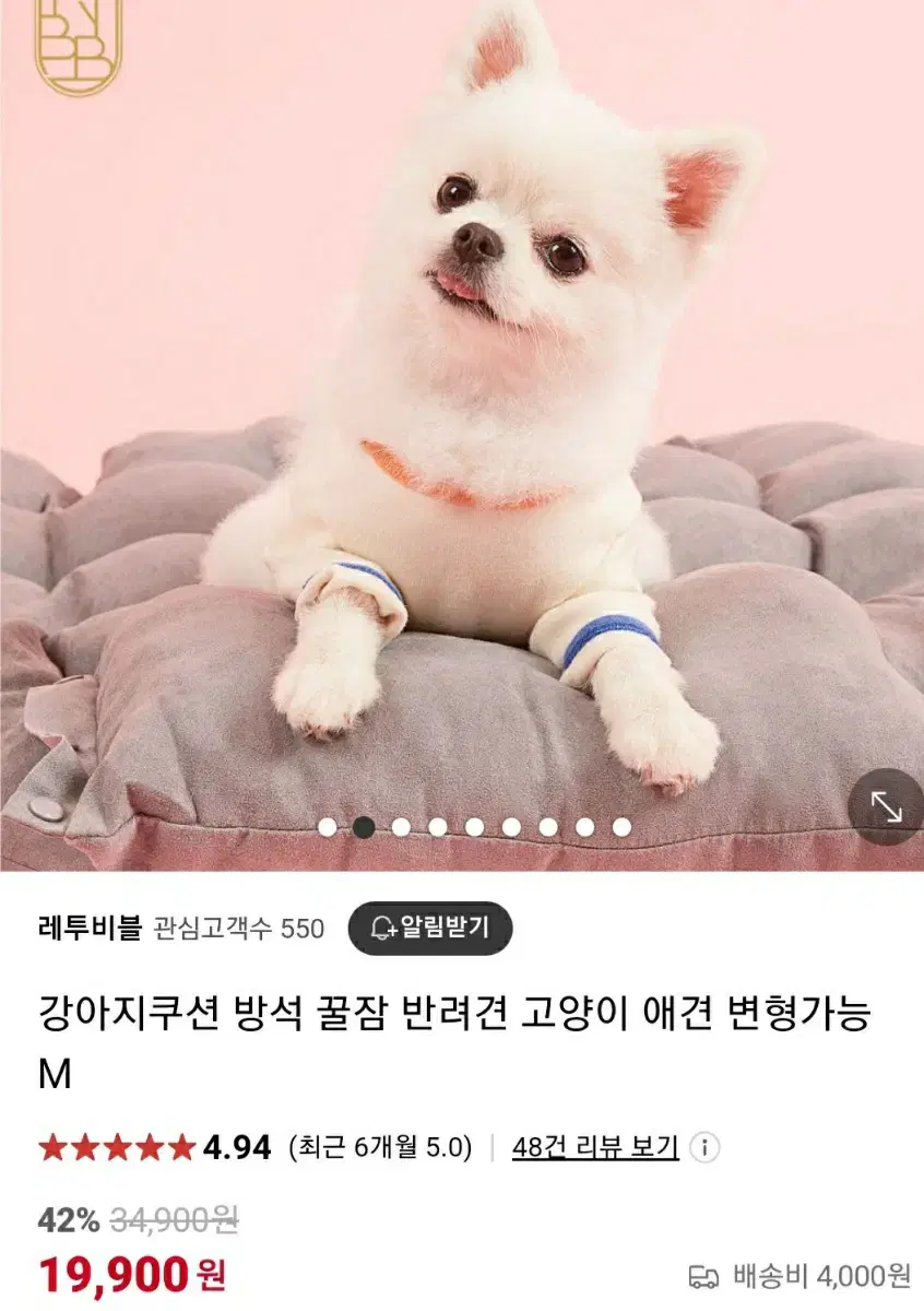 애견방석