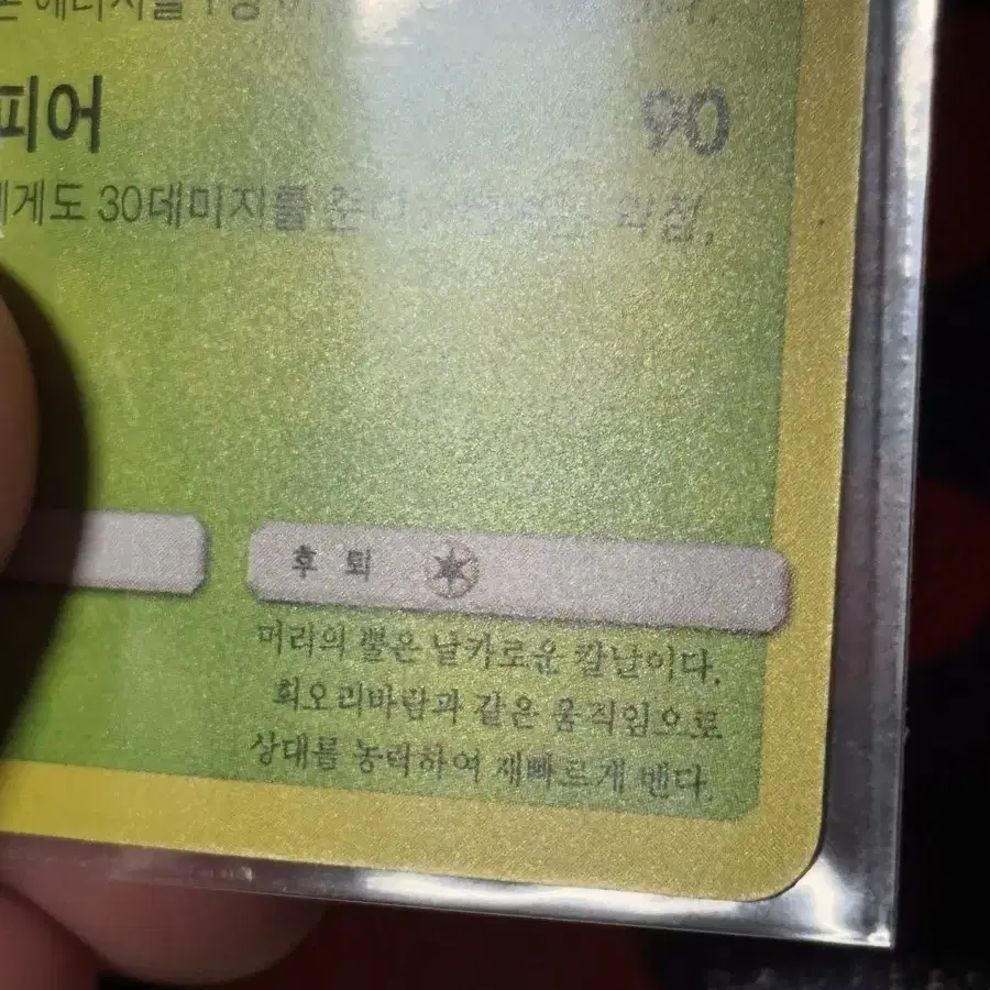 포켓몬스터 비리디온 포켓몬 카드 인테리어 소품 4 꾸미기용 포장용