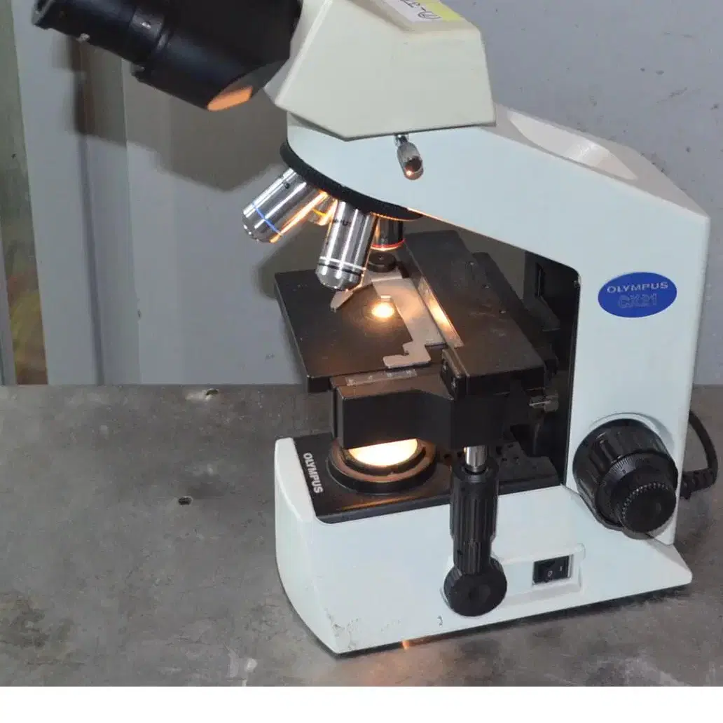 생물현미경 Olympus CX21 Microscope