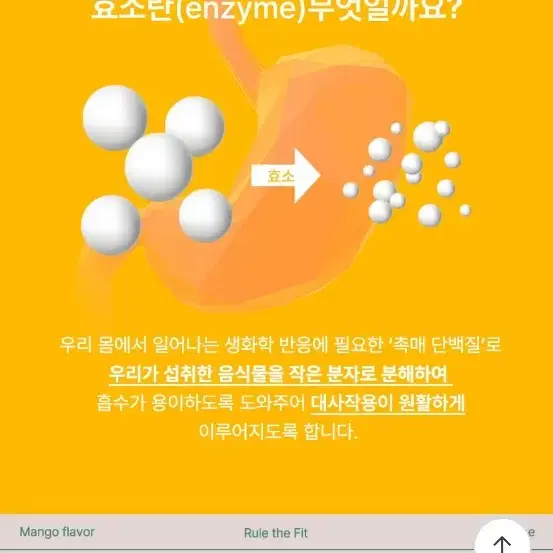 망고맛 효소