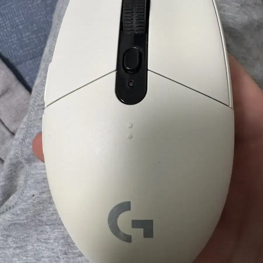 g304 화이트