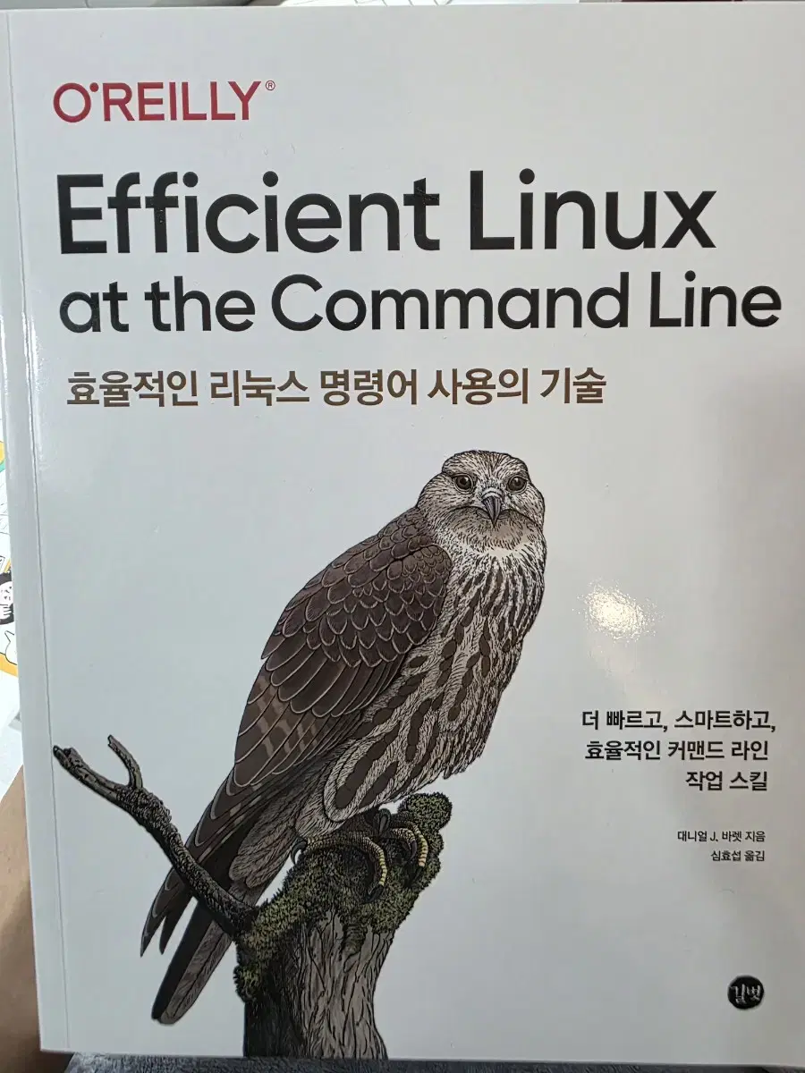 Techniques for Efficient Use of Linux Commands