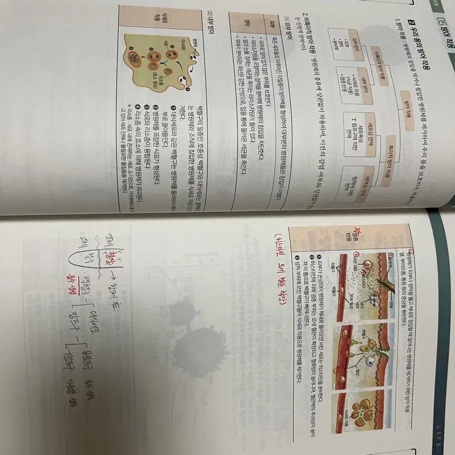 박지향 2026 생명과학 개념서+기출(1,2,3단원 제외)