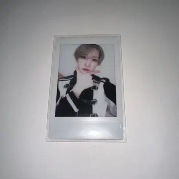 팬더 드래곤이 폴라로이드 사진