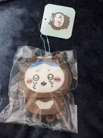 나가노캐릭터즈 말레이곰을 입은 하치와레