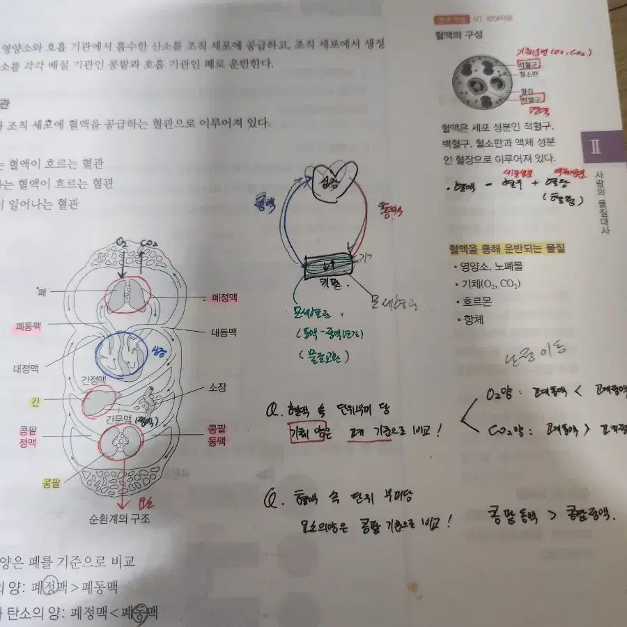 2026 철두철미 생명과학1 한종철 set