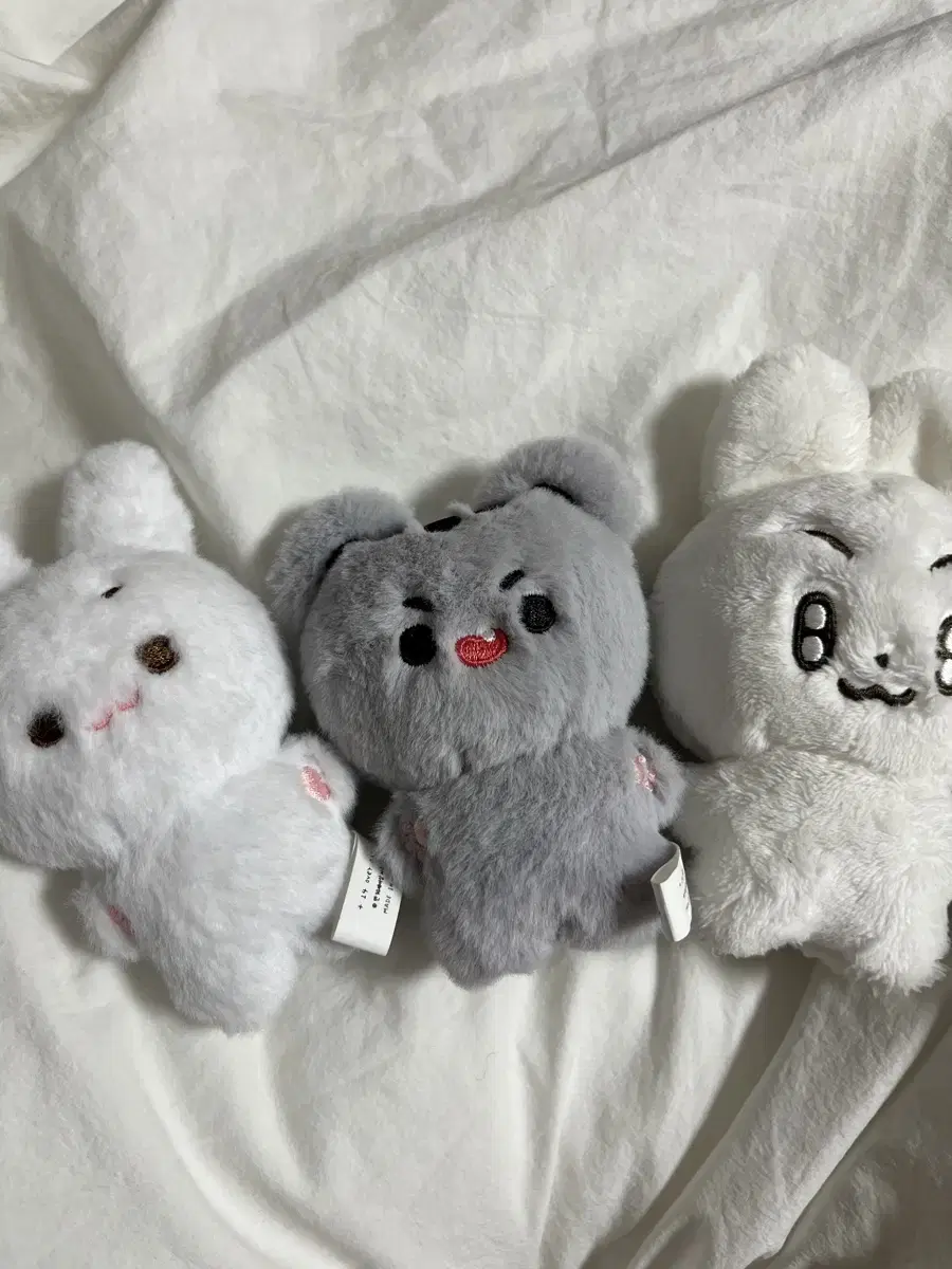 TXT doll Sell