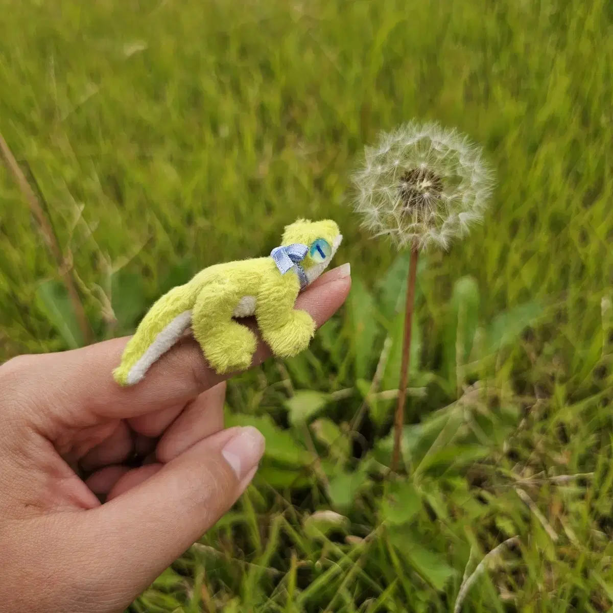 [구함] 소소한인형공방 멜롱이 인형 삽니다