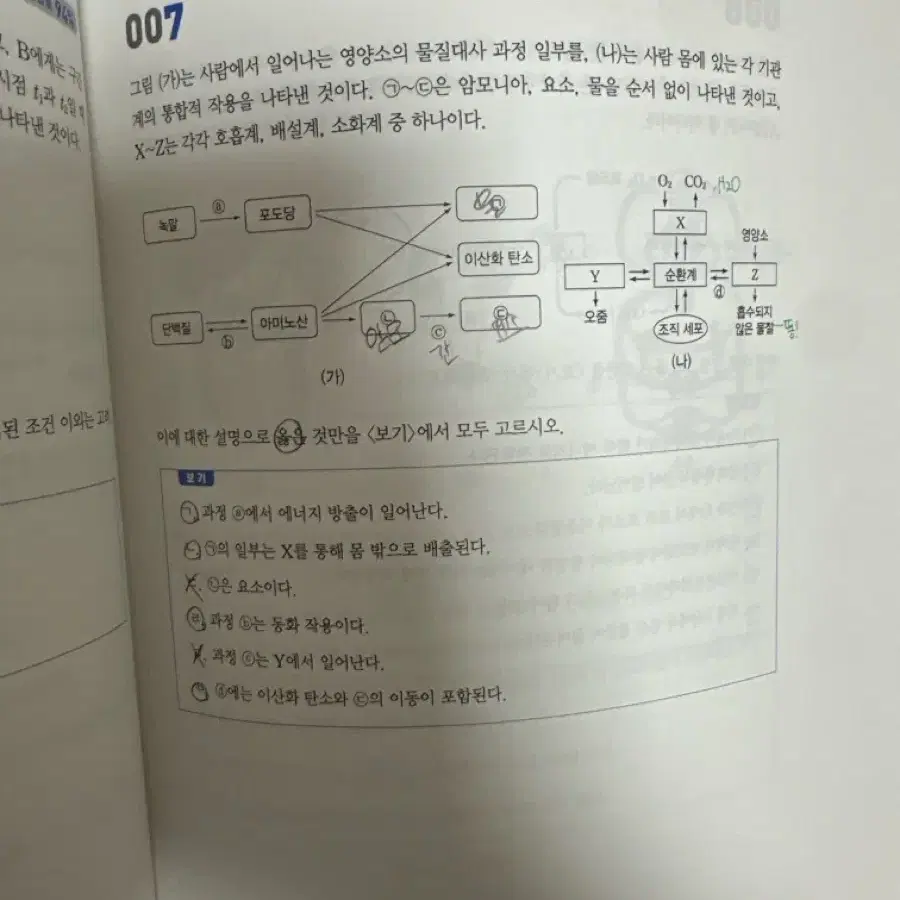 Final 100 백호 파이널