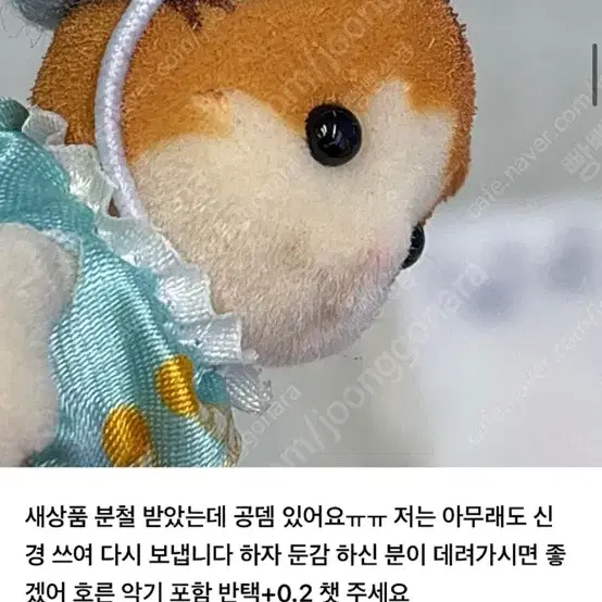 실바니안 메이플캣 호른