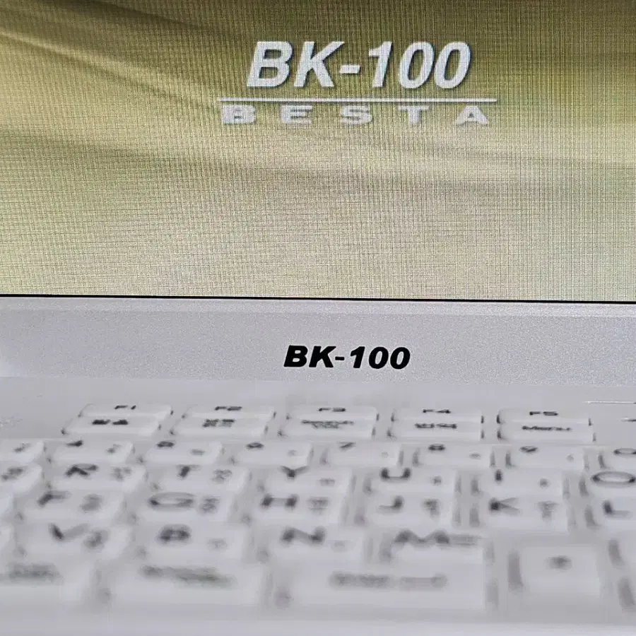 베스타 전자사전 BK-100