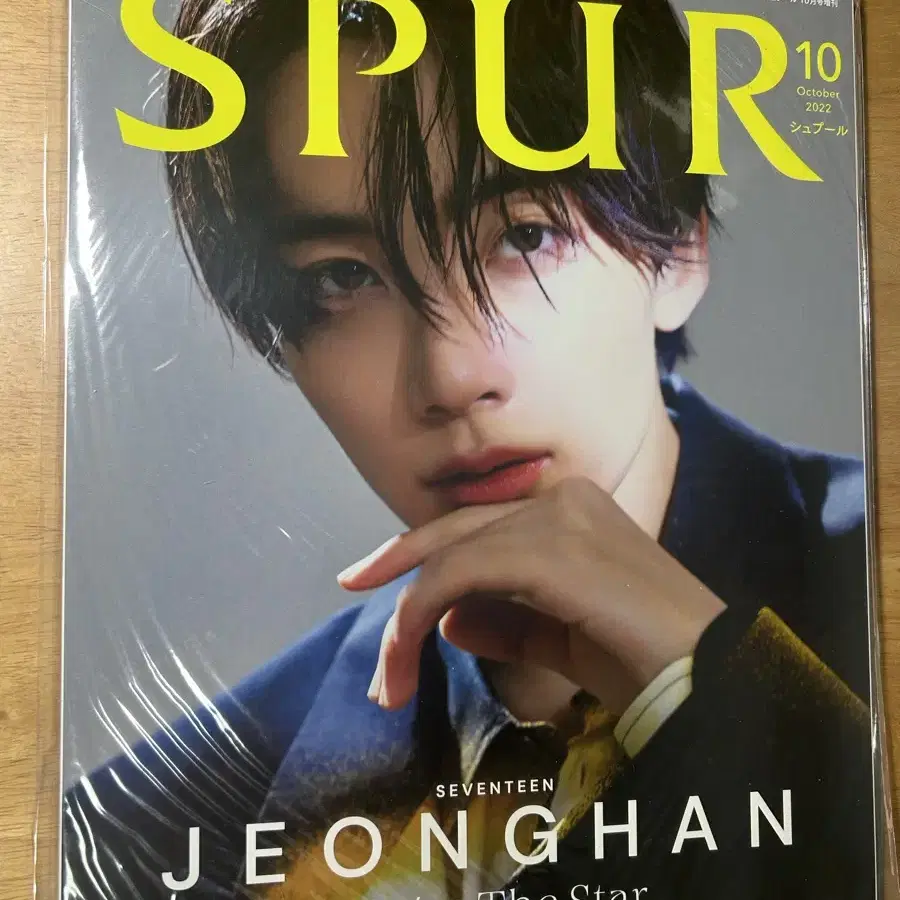 정한 spur 일본 잡지