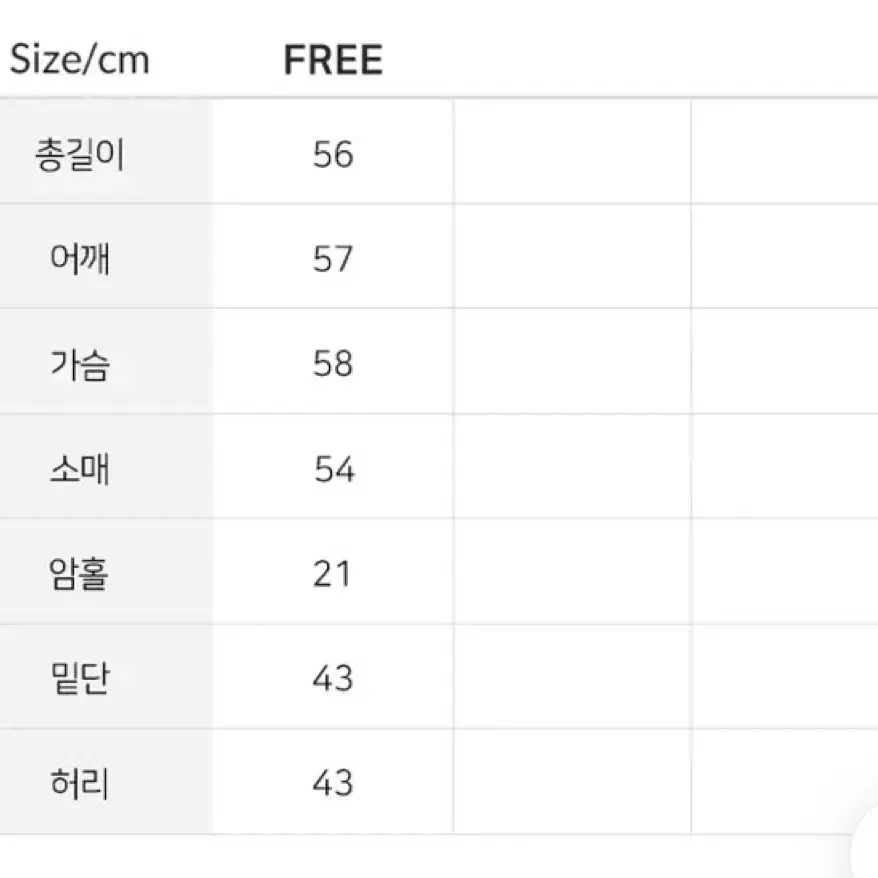 기모 레터링 맨투맨 아이보리