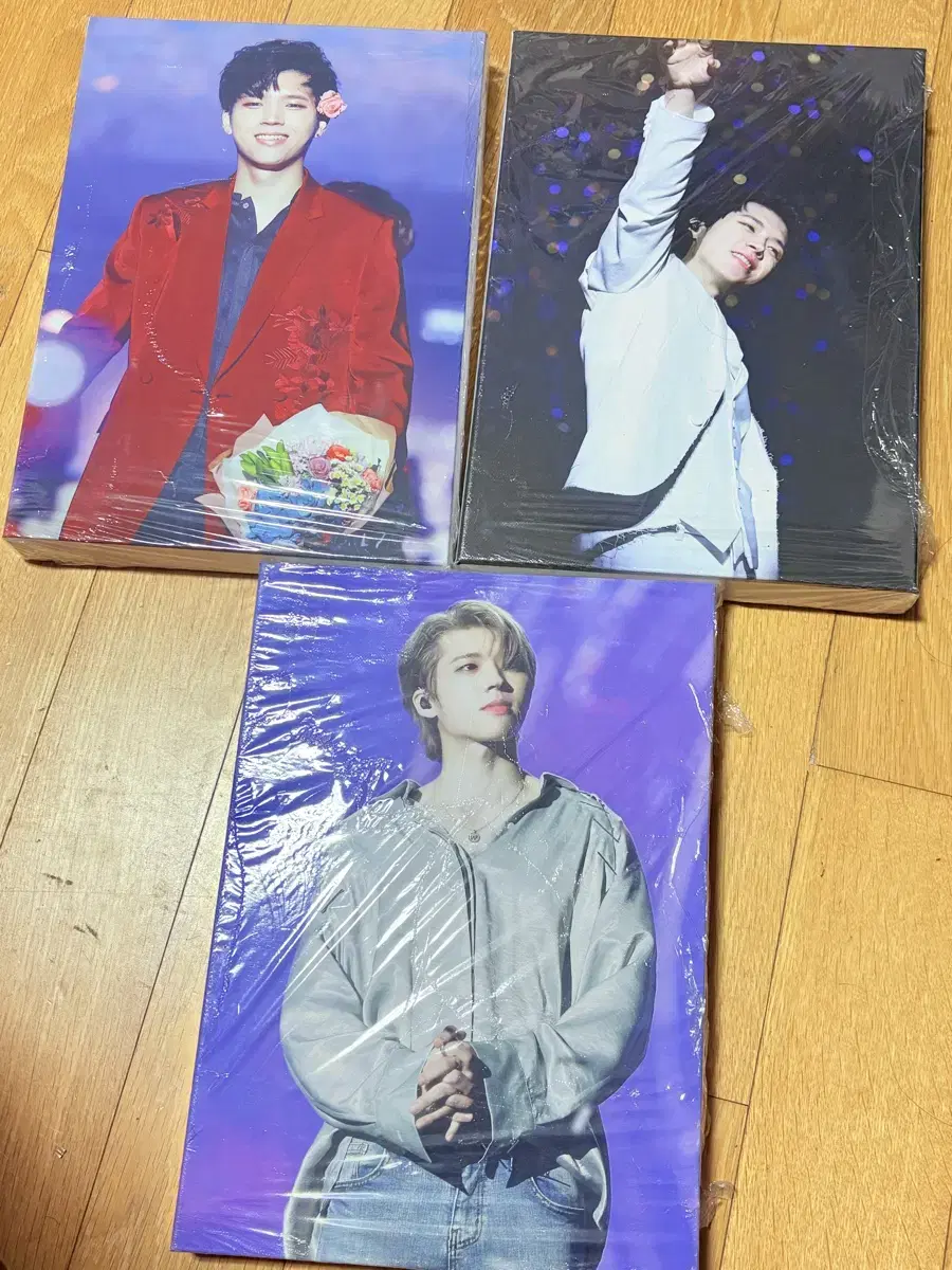 nam woohyun, Infinite Goods, Picture Frame, bulk, sell, Arbor Day Concert
