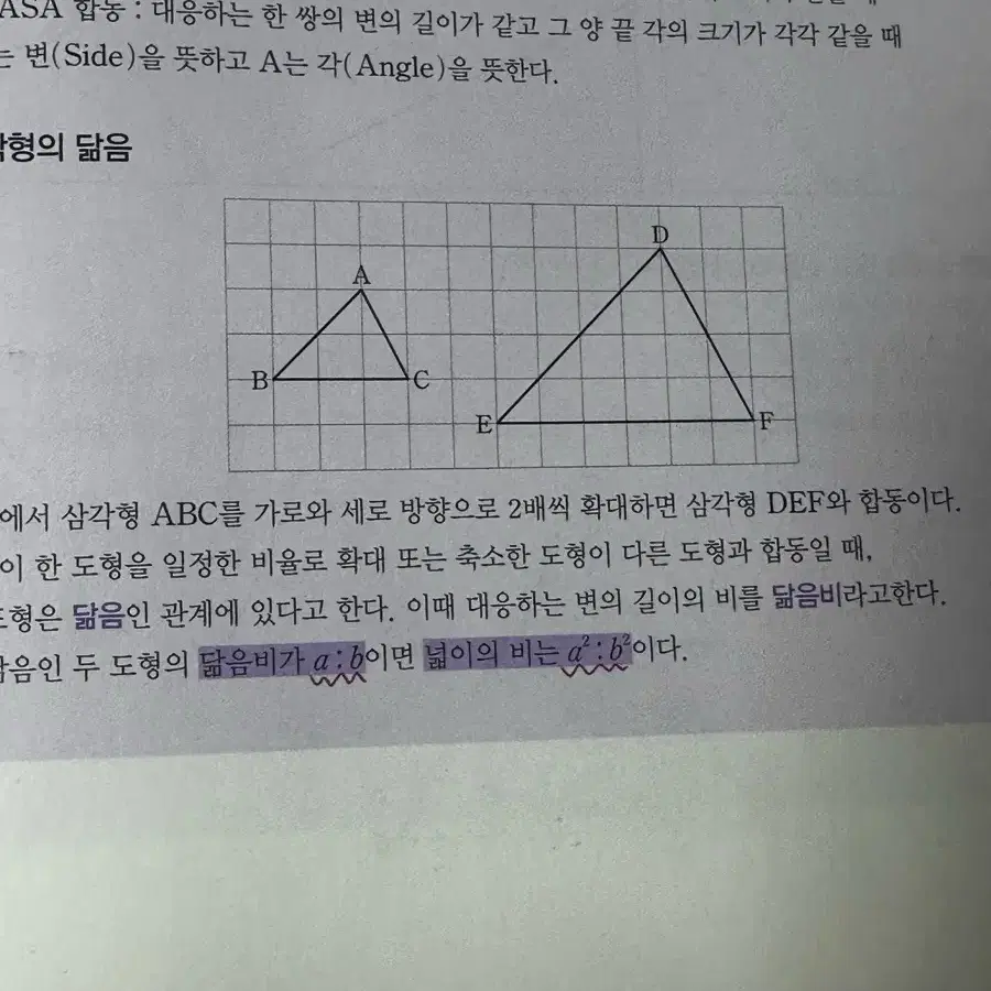 정승제 T 중학수학특강/중학도형특강