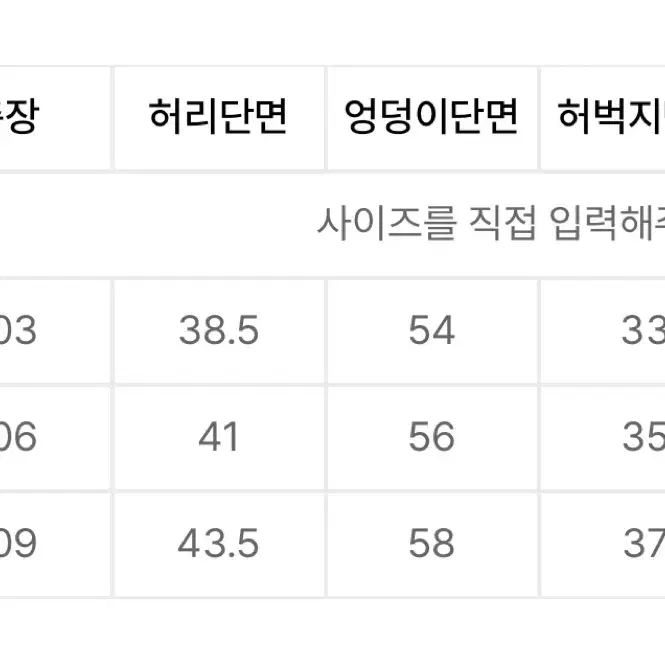 플레이버리즘 플라이트 와이드 데님 팬츠 카고 바지 XL