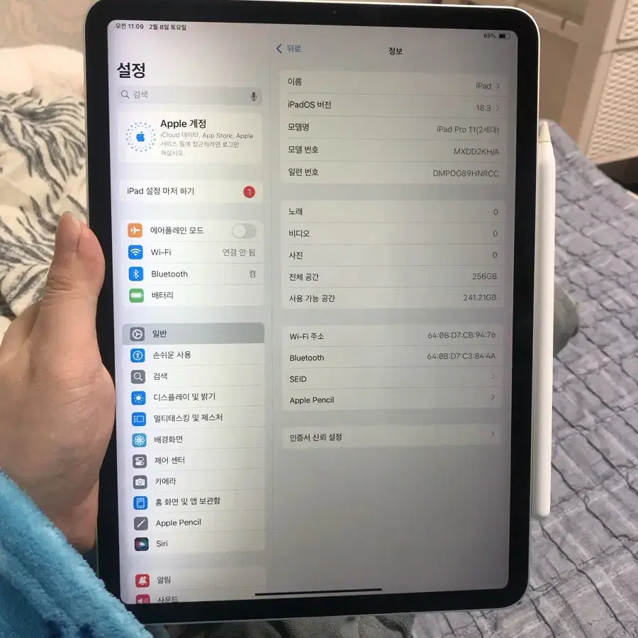 아이패드 프로11형2세대 256 + 애플펜슬2