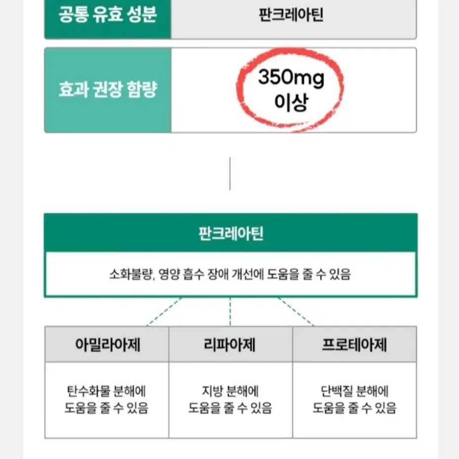 고양이 강아지 췌장 보조제 소화 효소 소화불량 췌장영양제 판크레아틴