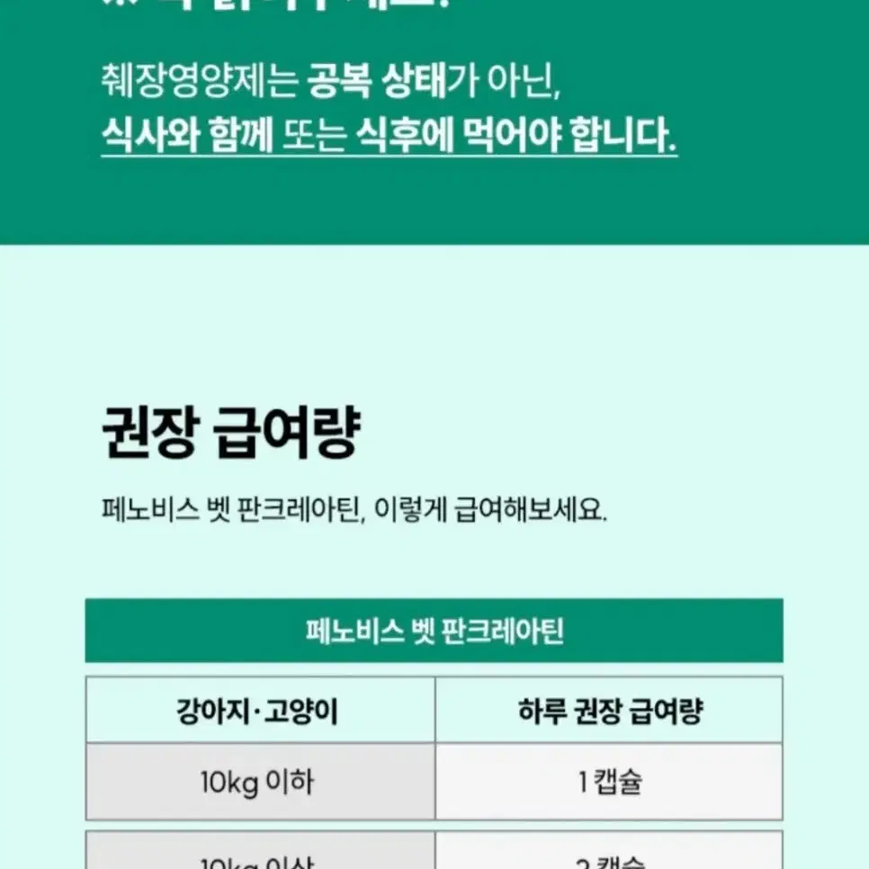 고양이 강아지 췌장 보조제 소화 효소 소화불량 췌장영양제 판크레아틴