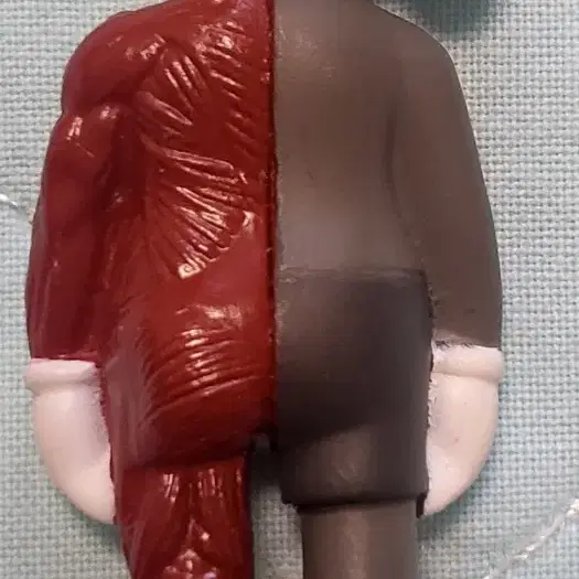 카우스 해부도 KAWS Companion Flayed