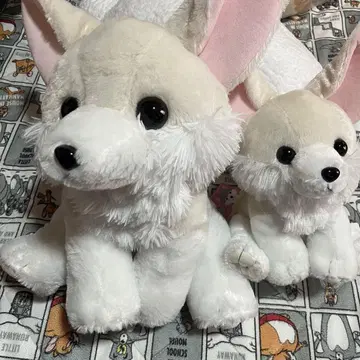 모후토 늑대 봉제 인형 페넥스 세트