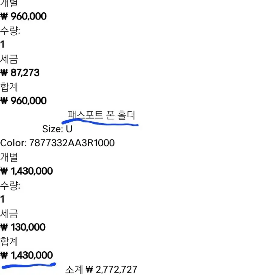 발렌시아가 패스포트 폰 홀더 패스포트 지갑 목걸이지갑